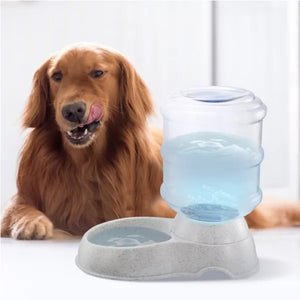 3.5L automatic gravity pet waterer for dogs and cats