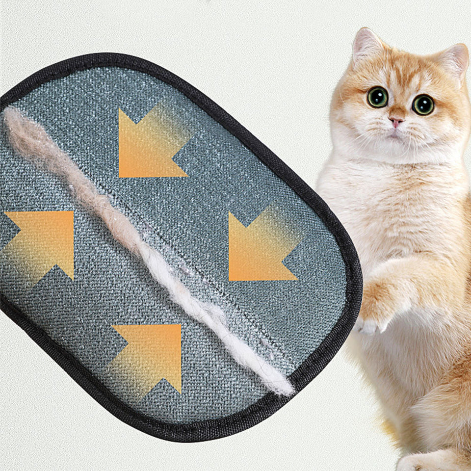 Cat enjoying a relaxing massage with a pet grooming mitt.