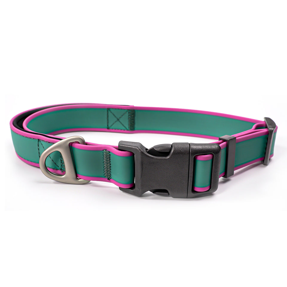 Dog collar with handle for better walking and control