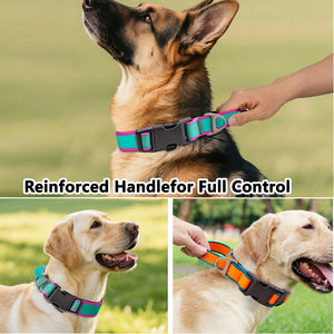 Active dog walking collar with comfortable neck fit