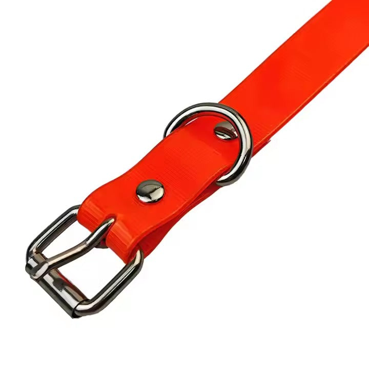 Everyday dog walking collar with waterproof design