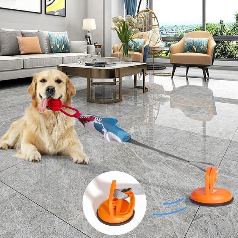 Squeaky chew pet toy with soft texture for supervised indoor play