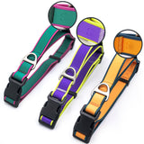 Odor-resistant dog collar that is easy to clean after outings