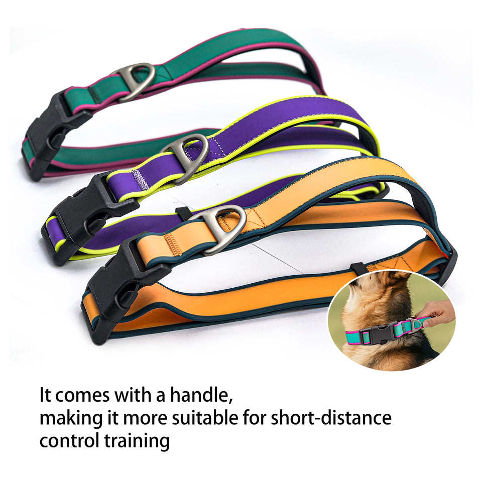 Outdoor tactical collar for dogs with strong practical design