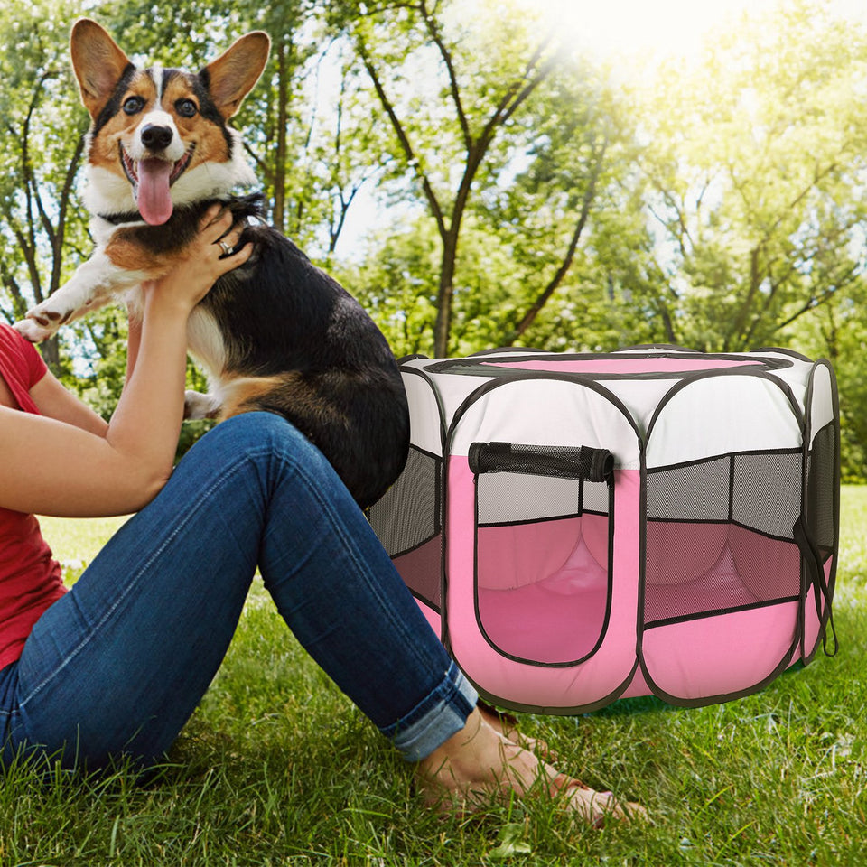 Pink and blue foldable pet tent with breathable mesh sides