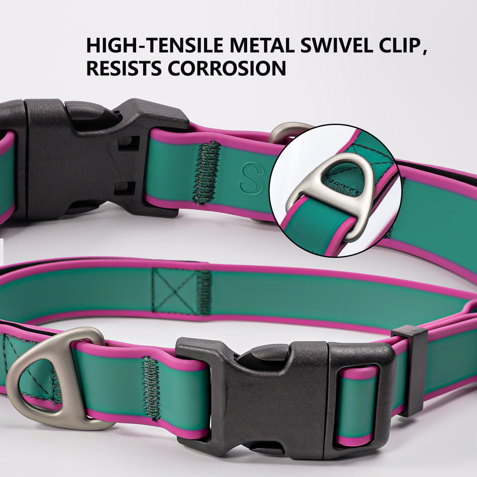Strong dog collar for training, walking, and active dogs
