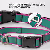 Strong dog collar for training, walking, and active dogs