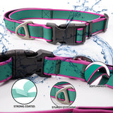 Tactical dog collar with control handle for training and walks