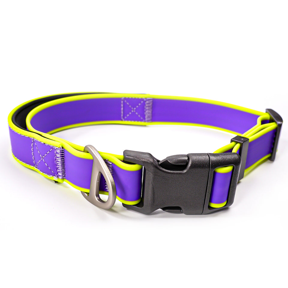 Waterproof dog training collar for wet outdoor conditions